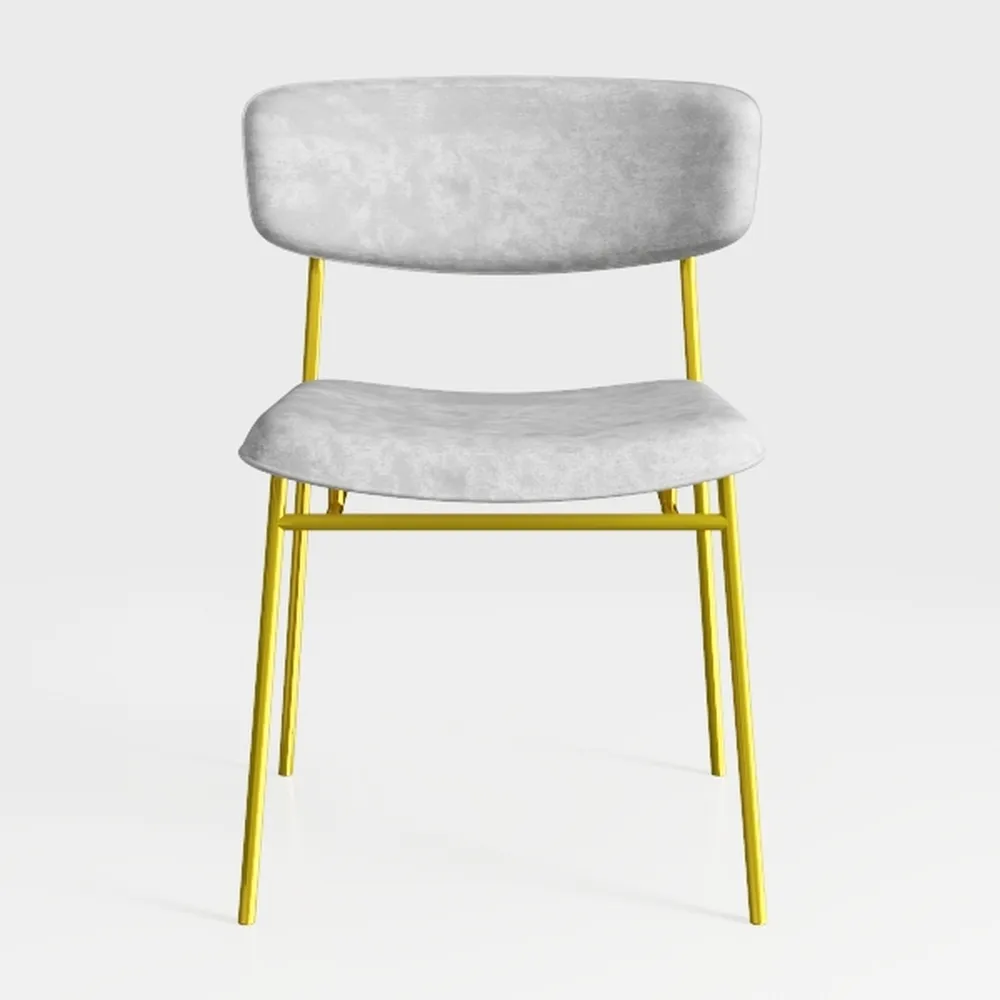 Best Master Furniture Meyer Velvet Side Chair with