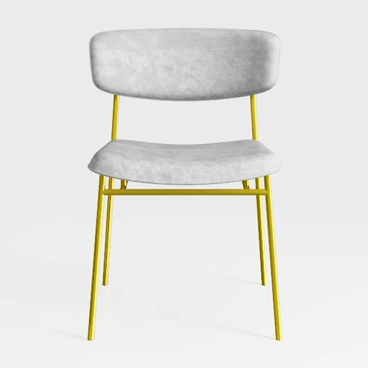 Best Master Furniture Meyer Velvet Side Chair with