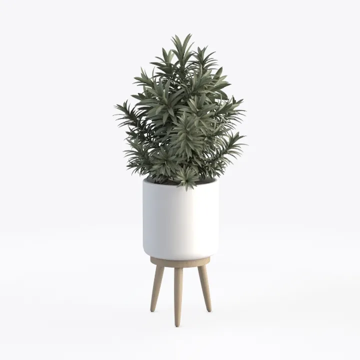 Mid Century Modern Solid Wood White Ceramic Potted Plant 3D Model