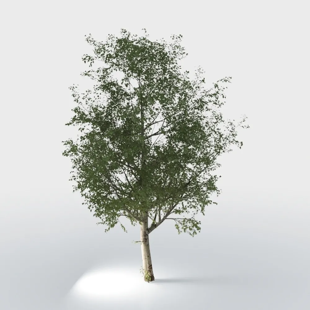 Artificial Palm Tree for Home Decor Indoor 6.6Ft