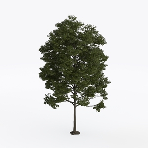 6ft Full Artificial Fiddle Leaf Fig Tree (72in)