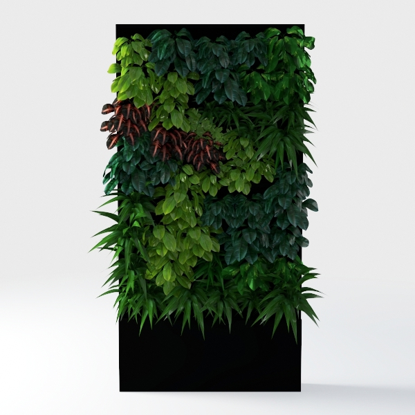 plant wall-Hanging Greens