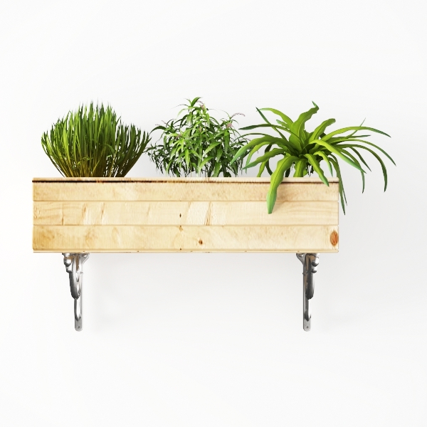 hanging plants-Hanging Greens