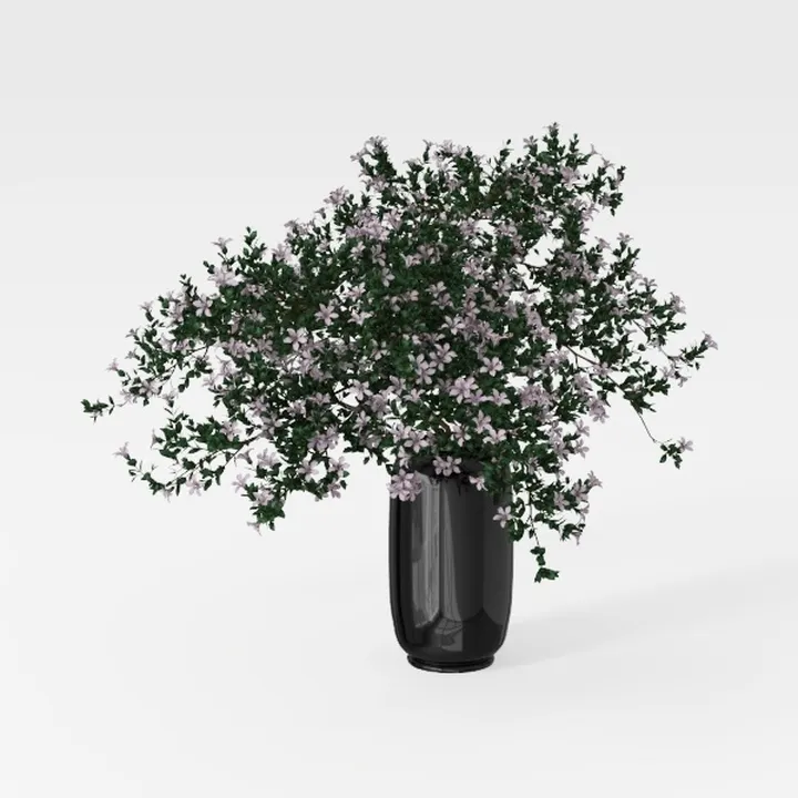 Minimalist Black Ceramic Potted Purple Flowering Plant 3D Model