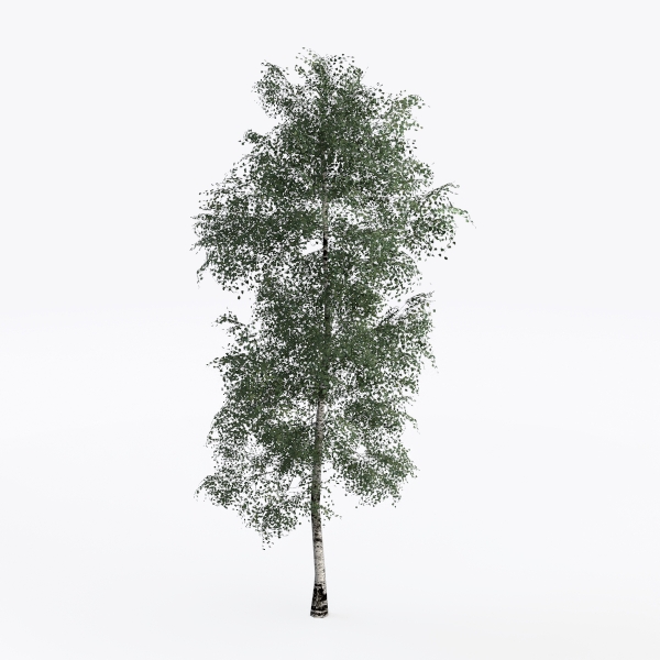 tree-Landscape Greenery