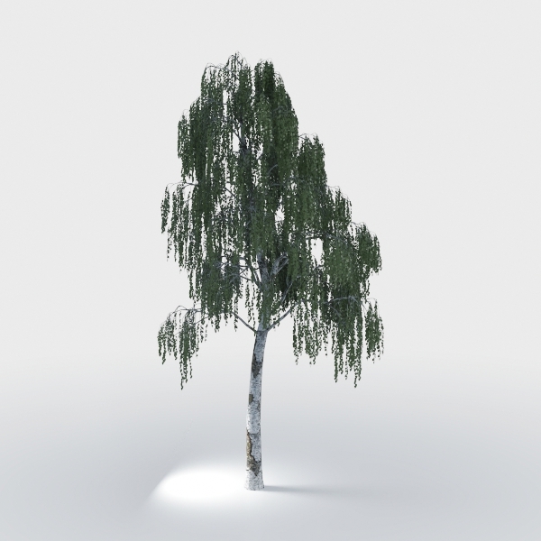 Artificial Olive Tree 7FT Tall Faux Olive Tree