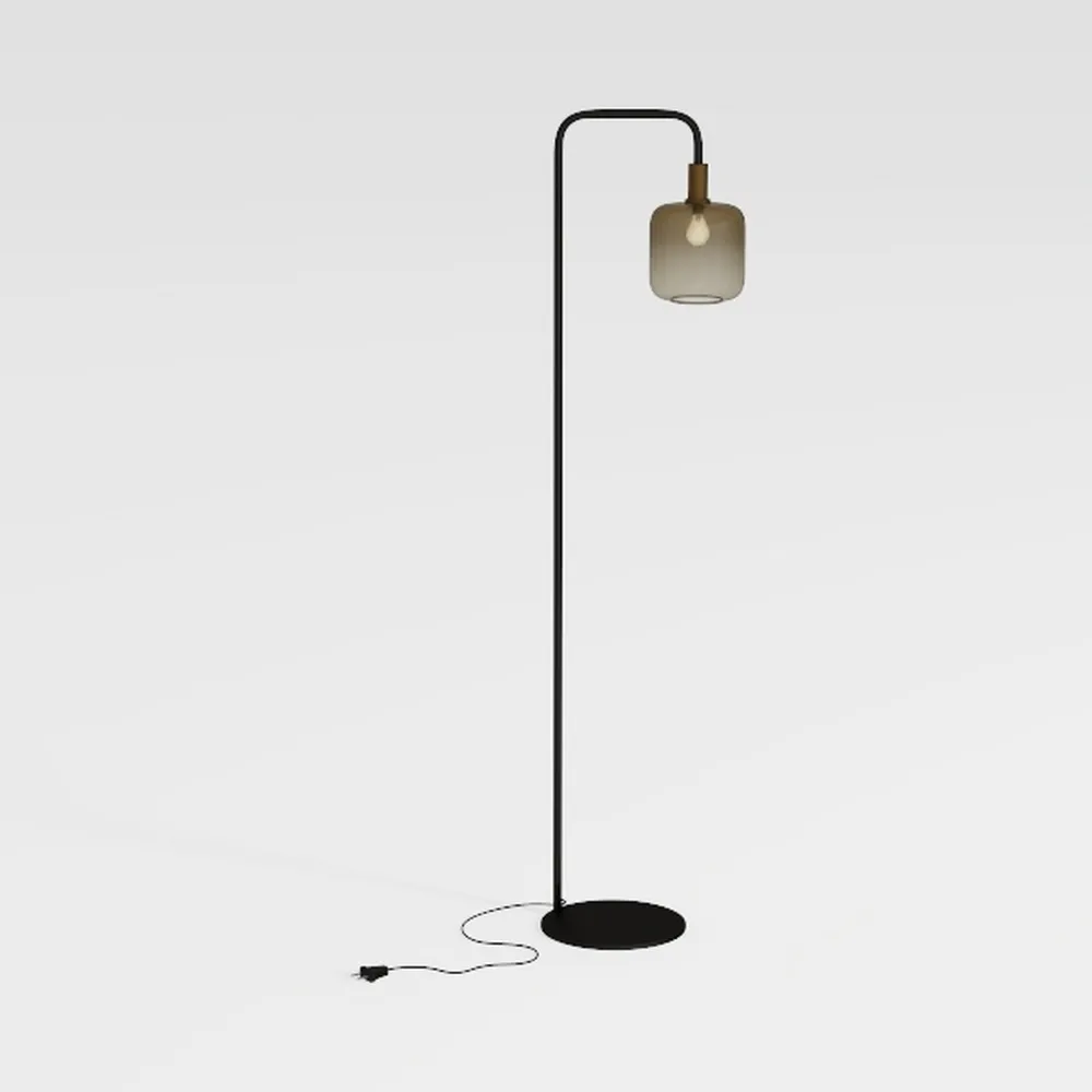 DLLT Floor Lamp Tall for Room: Black Standing Lamp