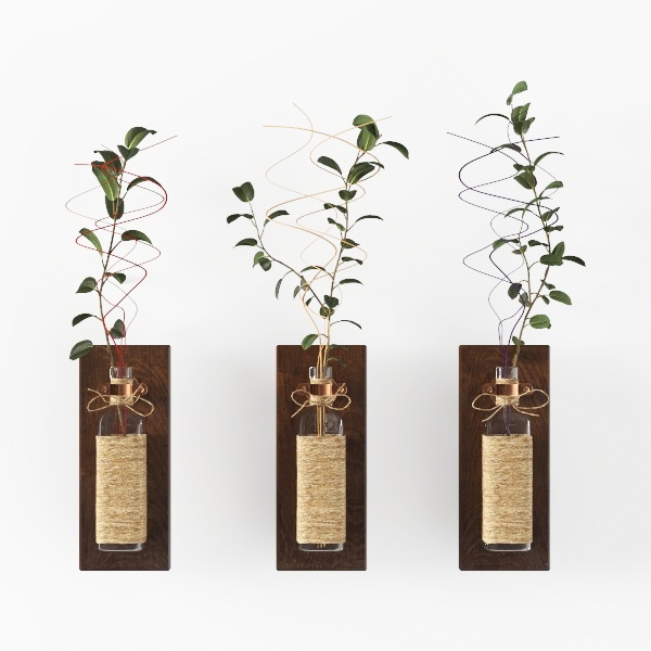 hanging plants-Hanging Greens