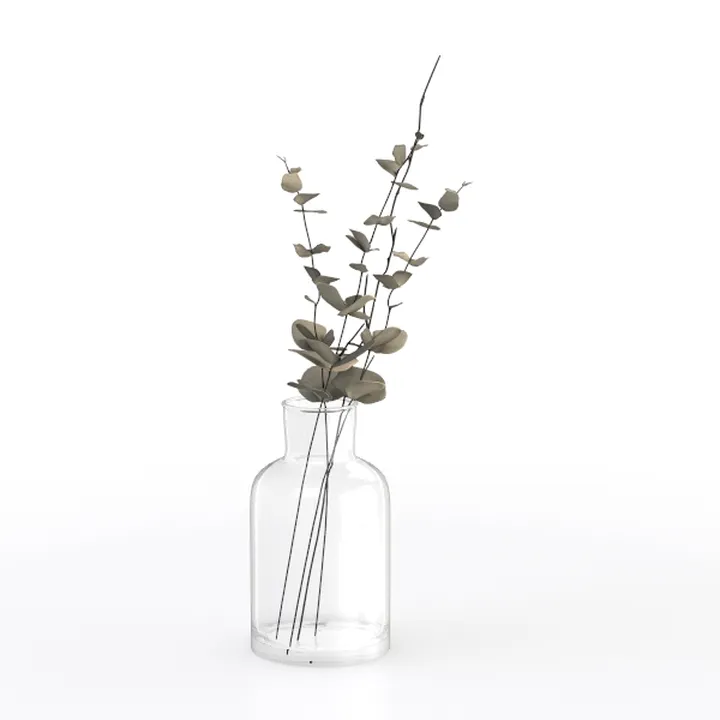 Minimalist Clear Glass Tabletop Vase with Dried Eucalyptus 3D Model