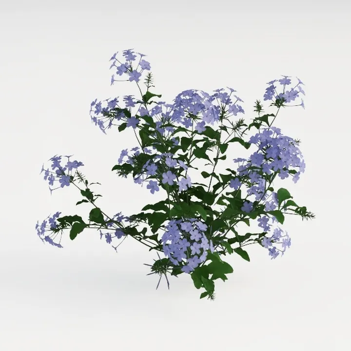 Purple Flowering Greenery Bush 3D Model