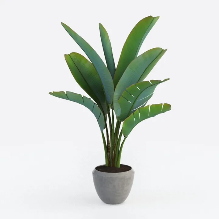 Artificial Bird of Paradise Plant,Faux Palm Tree