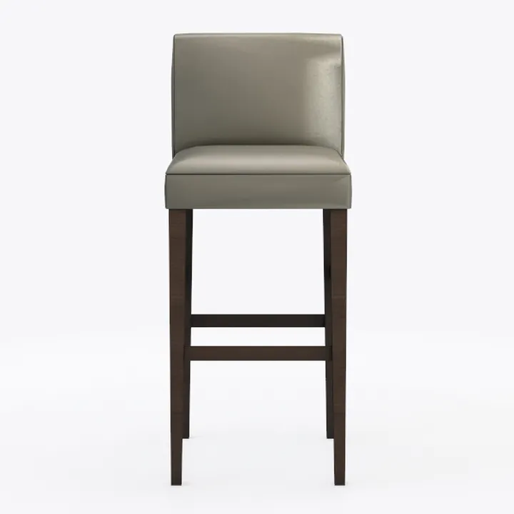 Ken 30 in. Clay Cushioned Bar Stool