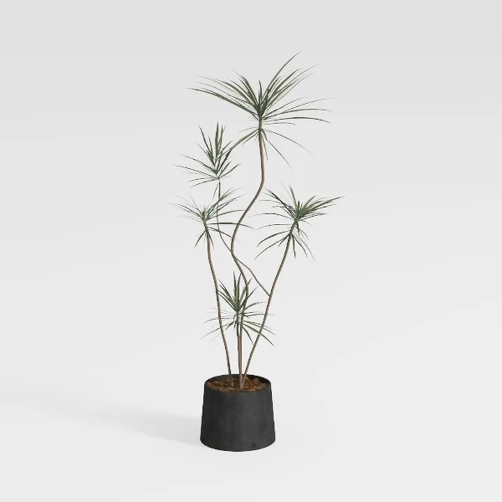 Minimalist Concrete Potted Floor Plant Decor 3D Model