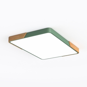 ceiling lamp-Woodland Designs 