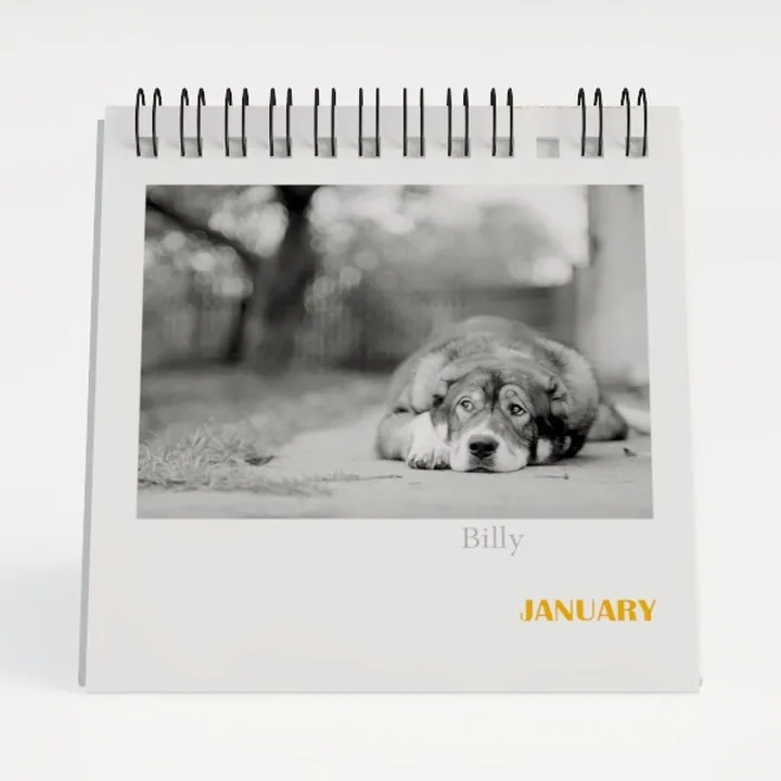 calendar-Back to School 2024