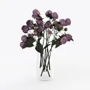 null Right 45 Degree View