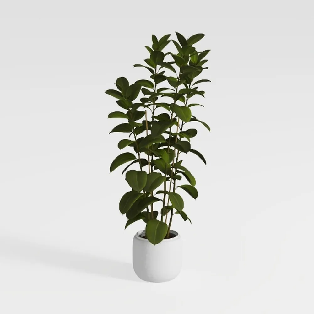 Artificial Palm Tree Indoor 6ft with Realistic