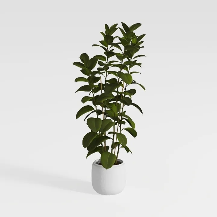 Minimalist Potted Green Leaf Plant Indoor Decor 3D Model