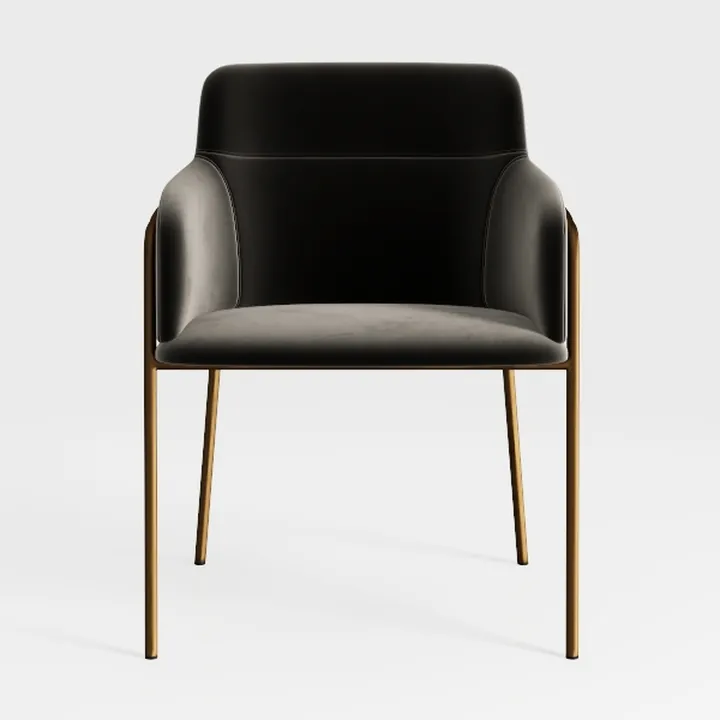 Dining Chairs, Accent Chairs Set of 2, Modern