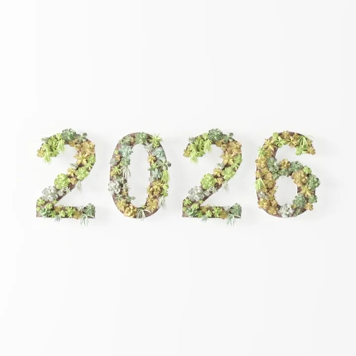 wall decor-new year decoration
