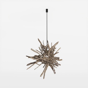 raw style ceiling lamp-Wild Side