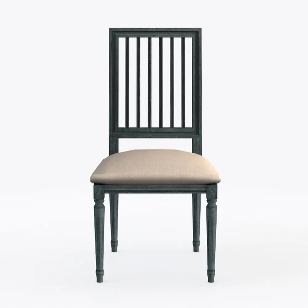 Riverdale Black Side Chair with Cushion Set of 2