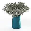 null Right 45 Degree View