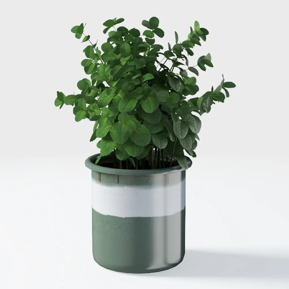 Smart Flowerpots,Smart Pet Planter,Ai Planter,Inte