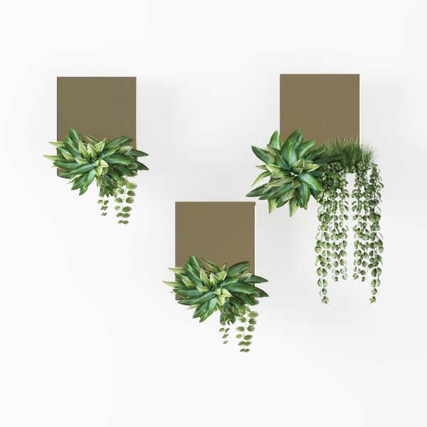 hanging plants-Hanging Greens