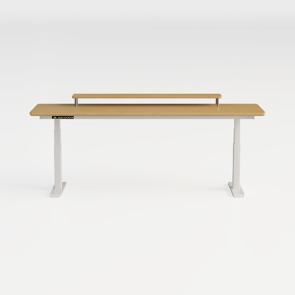 Huuger 55 x 28 Large Electric Standing Desk