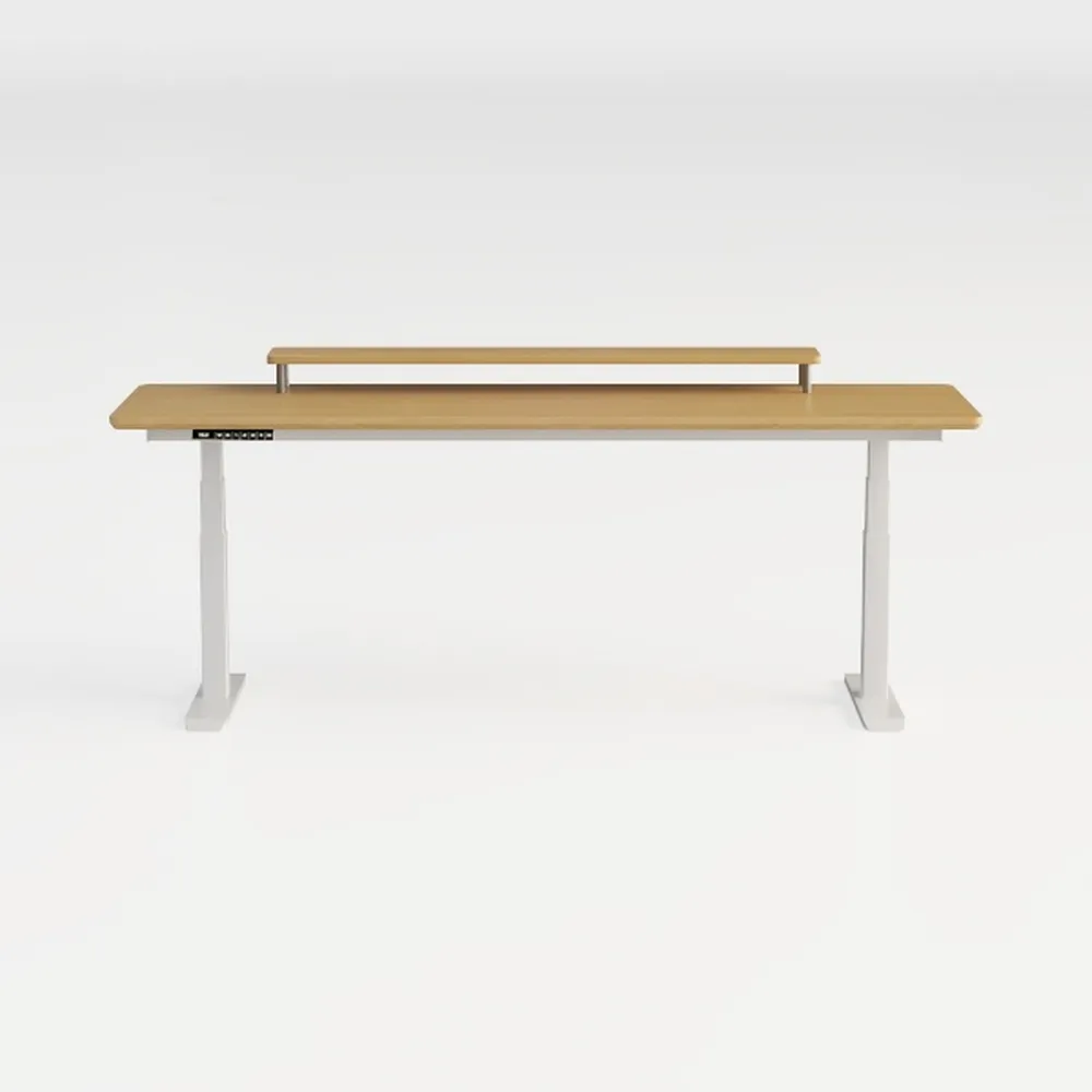 Huuger 55 x 28 Large Electric Standing Desk