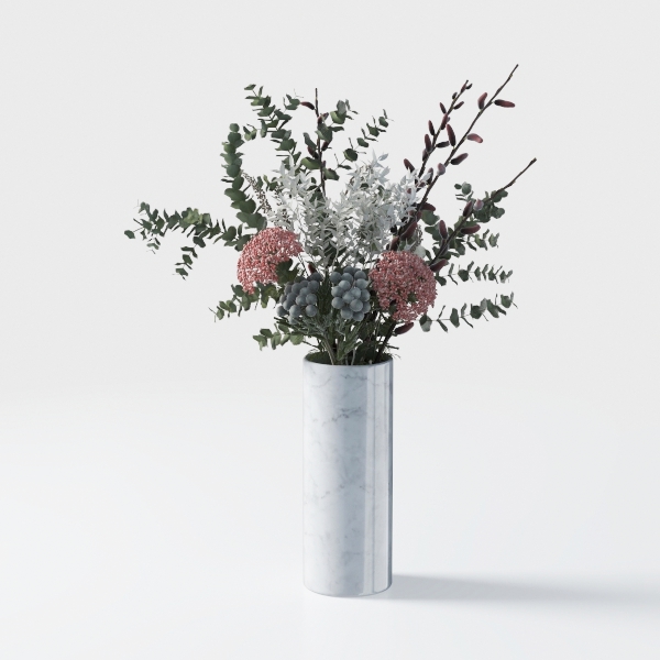 The Stone Age plant 1