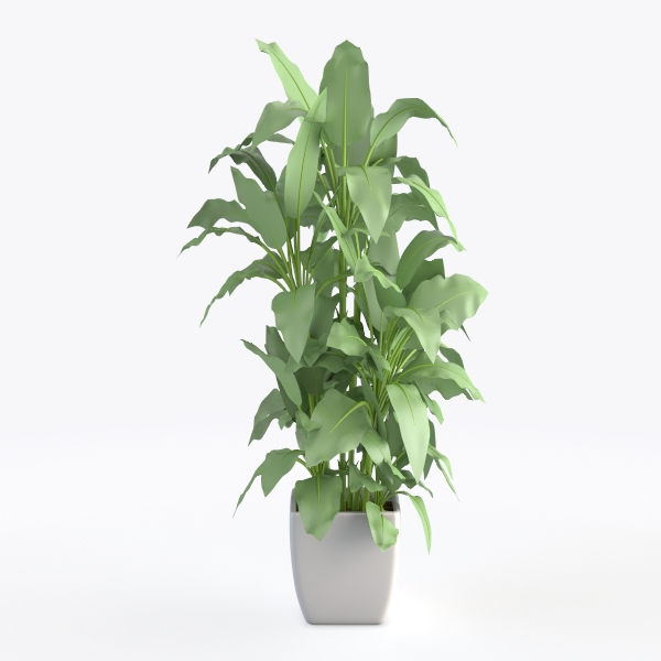 Green plant P-30