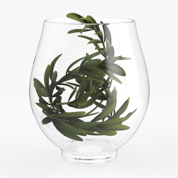 Micro Landscape Glass Bottles With Cover Fresh Green Succulent Moss Bottle Glass Vase Glass Terrarium Bonsai Home Desktop Decor