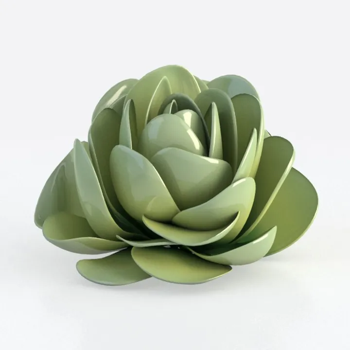 Live Succulents Aeonium 'Mbach' (4-inch), Succulen