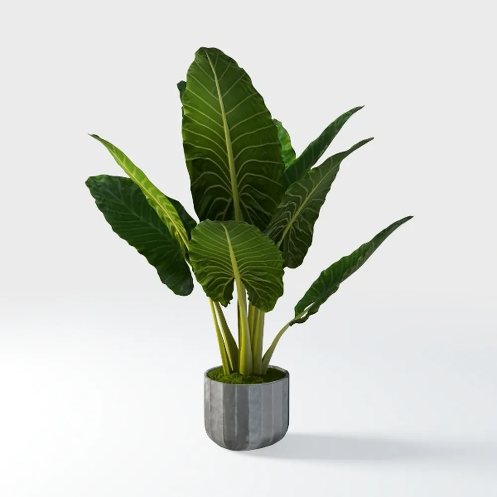 [ 2Pack ] 60 inchs Artificial Tree Bird of Paradis