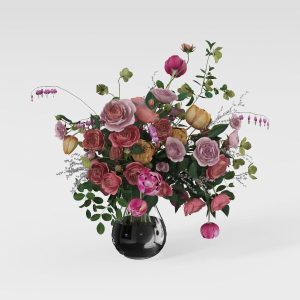 BubbleBlooms Peperomia Assortment, 6 Different