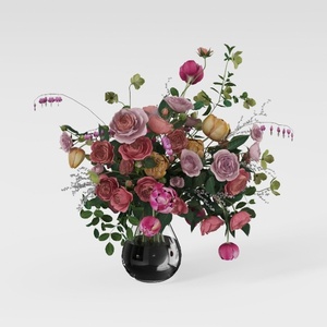 BubbleBlooms Peperomia Assortment, 6 Different