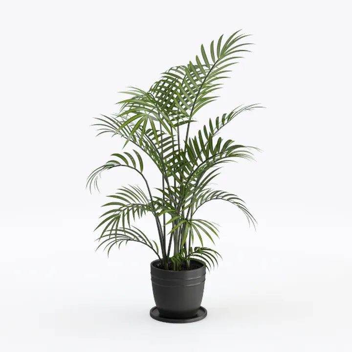 Minimalist Potted Palm Tree Indoor Decorative Plant 3D Model