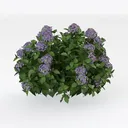 null Right 45 Degree View