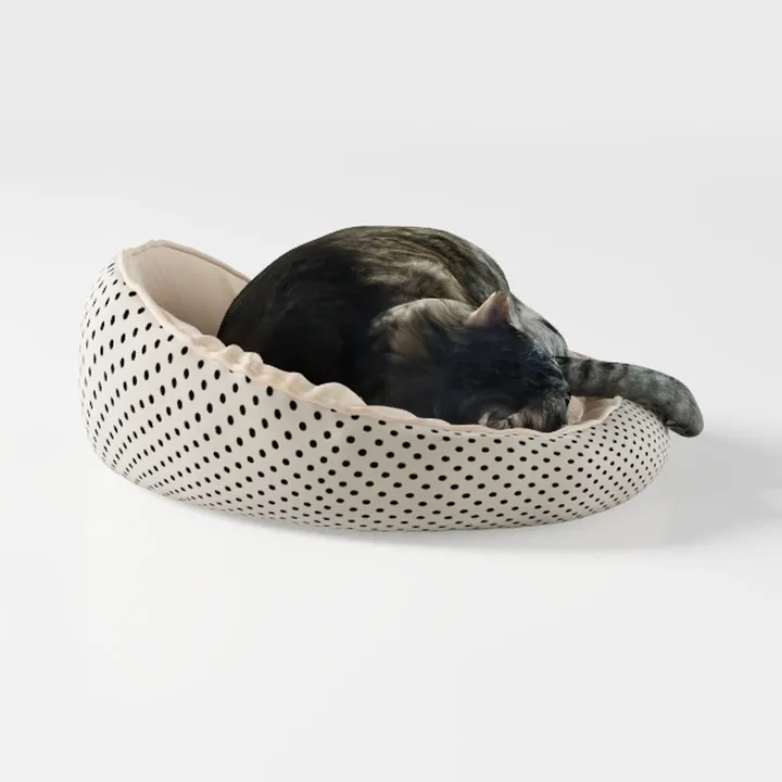 Cat 2