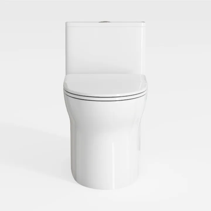 One Piece Toilet, Elongated Dual Flush 0.8/1.28