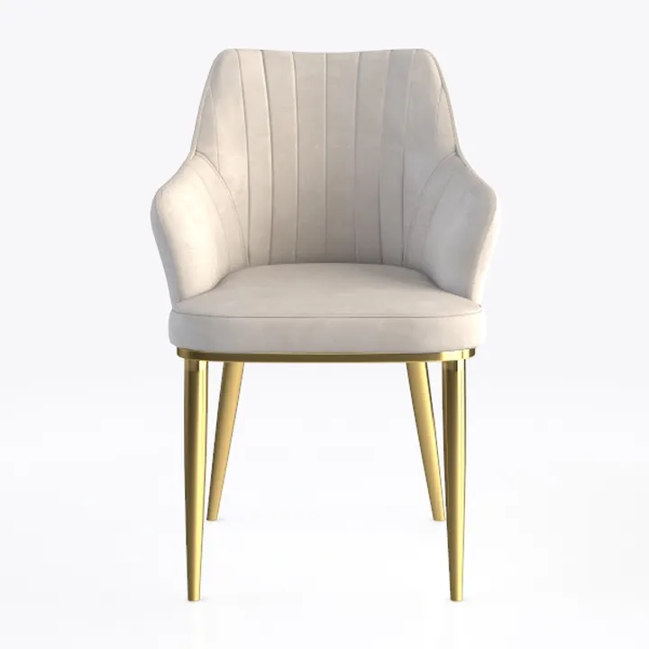 LSSPAID Velvet Accent Chairs, Modern Fabric Uphols