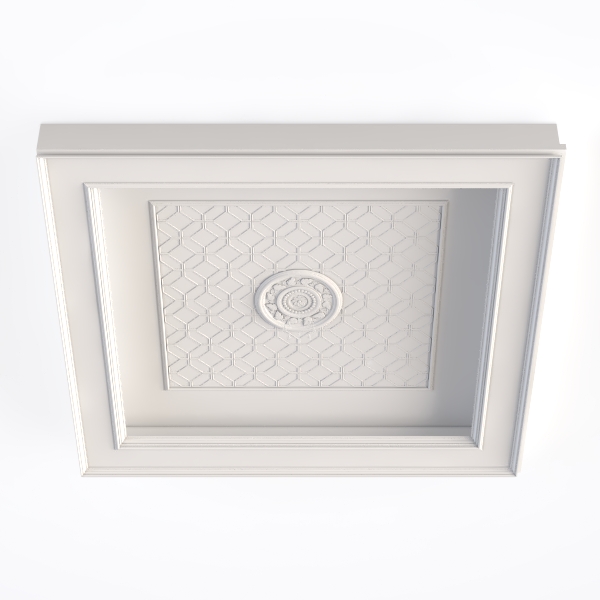 Irregular shaped ceiling-56