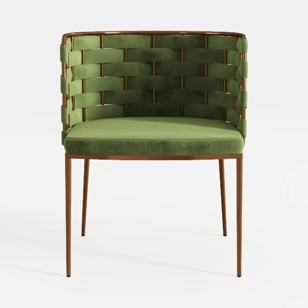 Velvet Dining Chairs Set of 2, Modern Dining Chair