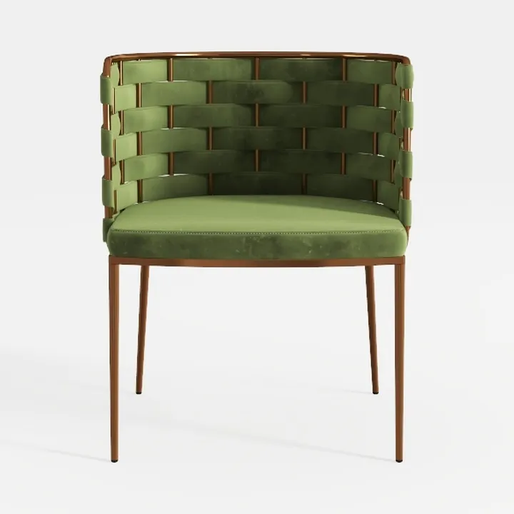 Velvet Dining Chairs Set of 2, Modern Dining Chair