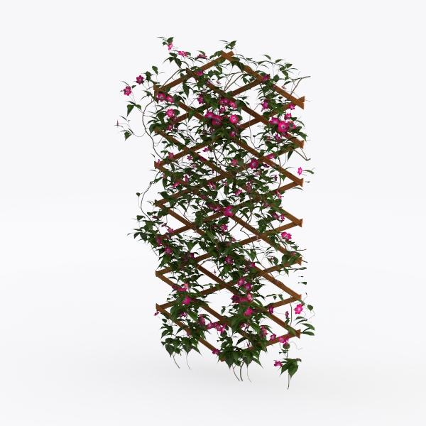 flower rack-Relaxed Oasis