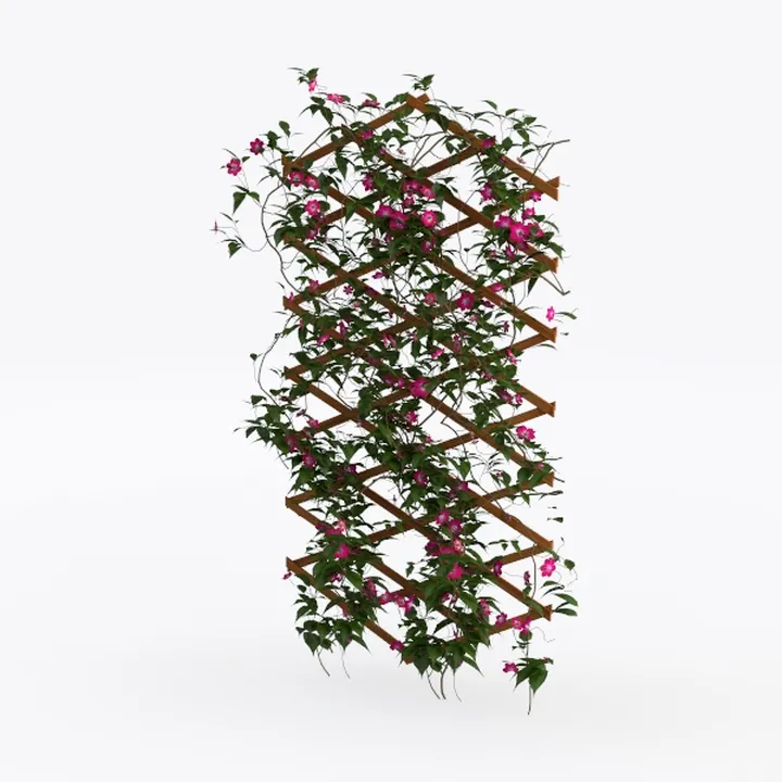 flower rack-Relaxed Oasis