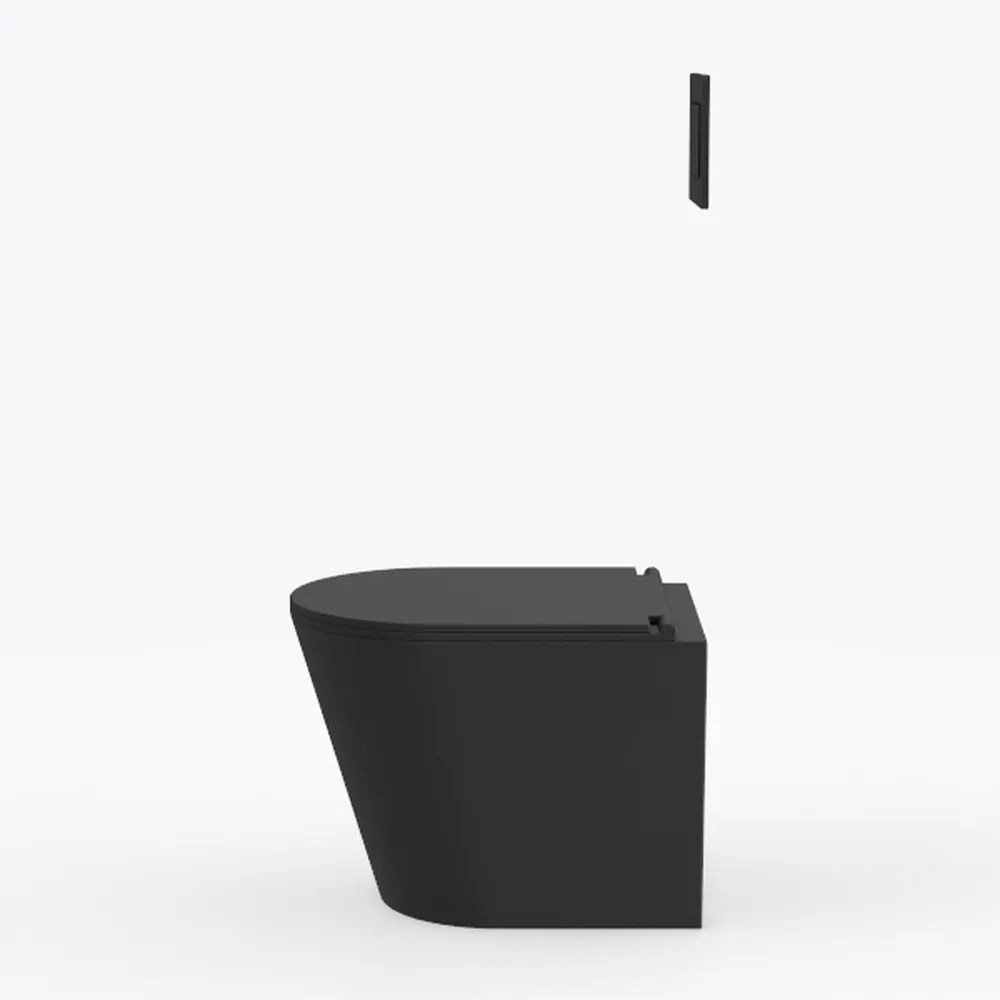 DeerValley In Wall Toilet Bowl, Elongated Wall