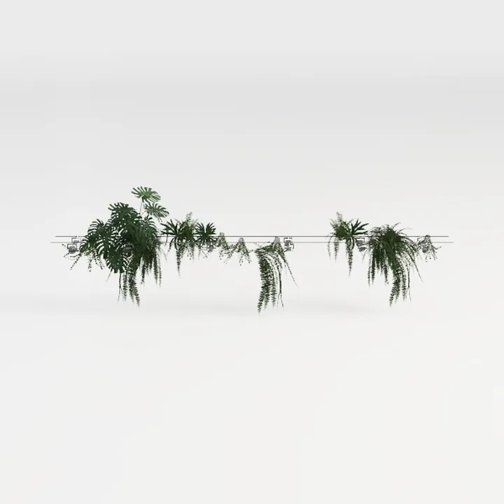 plant-Café Deco